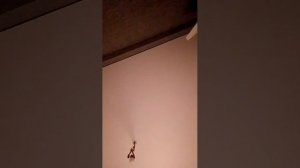 АЛЛАГЬ свят ❤️