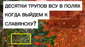 Огромное количество трупов ВСУ! Штурм высот на пути к Славянску! Военные сводки 20.02.2026