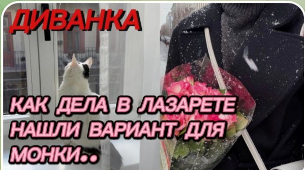 САМВЕЛ АДАМЯН, МИСС ВОНГ, КАК ДЕЛА В ЛАЗАРЕТЕ, НАШЛИ ВАРИАНТ ДОЯ МОНКИ..