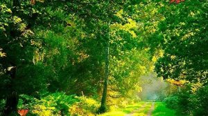 ПРИВЕТСТВИЕ ❗️ ❗️  ❤️  ❤️