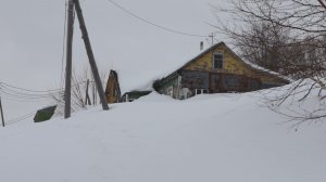 ЦЕНА БЕЗДЕЙСТВИЯ