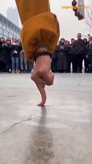 Мастерство шаолиньского кунг-фу - навык Один палец, один из самых сложных боевых искусств