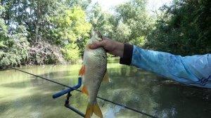 Ribolov u Slovackoj 2. deo EP197_11072023