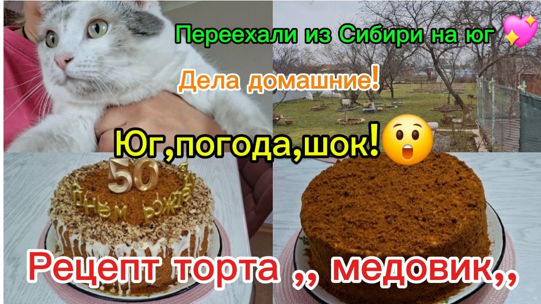 20-02-2026 Переехали из Сибири на юг/ Живём на юге/Рецепт торта,,Медовик,, подробно/Опять удивляет . смотреть онлайн