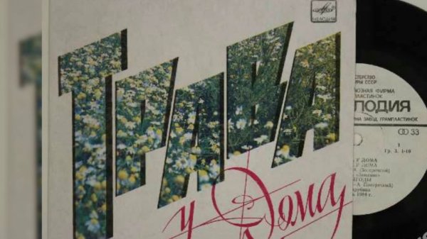 "Трава у дома" на испанском языке (Земляне) / La hierba de nuestro hogar (mariachi13)