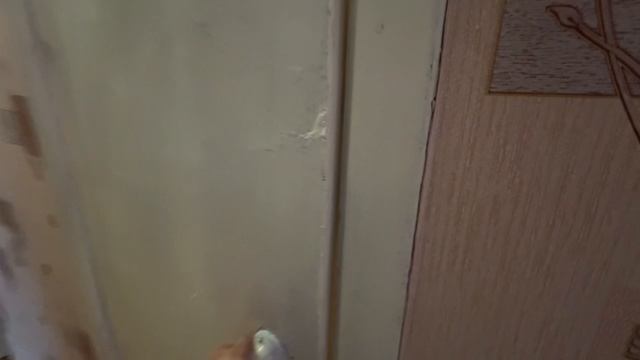 copy_6AA21750-7065-4EE0-9C25-DB4E4FB15D77