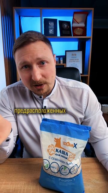 Можно ли собаке свинину? Чем это мясо опасно 🐶🥩 #кашадлясобак #питаниесобак #собаки #свинина