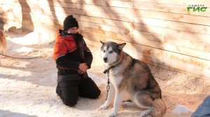 Дети участников СВО из Самары побывали на экскурсии с маламутами