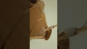 потоп корабля