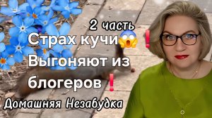 2 часть. Страх кучи❗️Выгоняют из блогеров❗️
