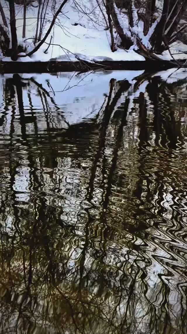 Зимний язь. смотреть онлайн