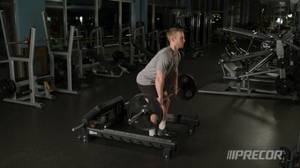 Precor Glute Bridge Bench