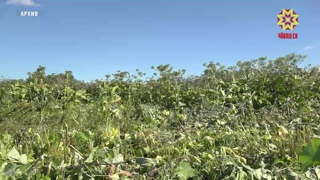 На 40-ой сессии Госсовета Чувашии депутаты обсудили 15 вопросов смотреть онлайн