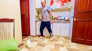 И СНОВА СМЕХ! Влад от Жорика чуть на холодильник не запрыгнул, а потом спрятался за меня)))