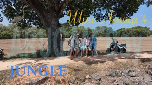 Шри-Ланка 🇱🇰 Sri Lanka Arugam Bay 🌴 Jungle