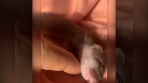 Видео от МЭН - Мне Это Нравится