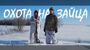 Охота на зайца