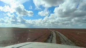 Приазовье после дождя