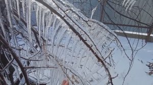 20 февраля// какой прекрасный день)))