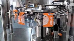 Оборудование для упаковки порошковой продукции в дой-пак SKGD-200