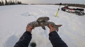 Февральская рыбалка на хариуса.