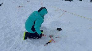 Поимки форели !!!