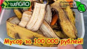 Ваши соседи выбрасывают миллионы! Как превратить мусор в деньги: полностью реальный способ.