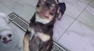 Небольшой, но вкусненький перекусик.