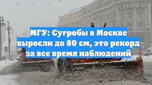 МГУ: Сугробы в Москве выросли до 80 см, это рекорд за все время наблюдений