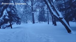 Заметает. чуть кота не усыновили. Сегодня снова блинный день.