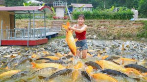 В рыбном пруду, Ли Фук Ви наловил много крупной рыбы. Отвезу на рынок чтобы продавать.