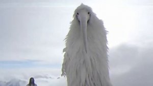 Мем из 2027 10 минут