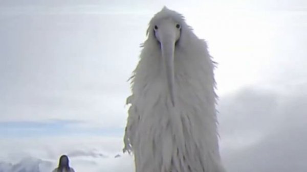 Мем из 2027 10 минут