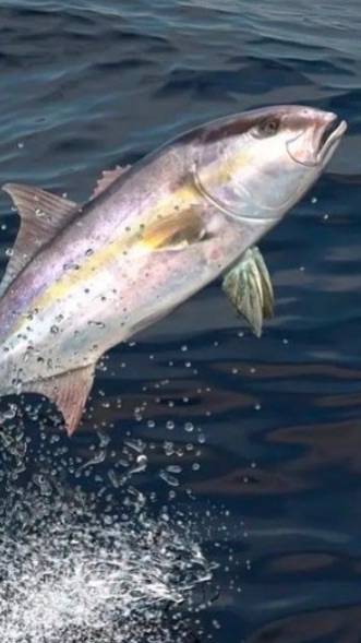 Лакерда на гриле смотреть онлайн