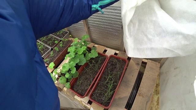 Влог от 02.04.2022 смотреть онлайн