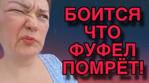 БОИТСЯ ЧТОБЫ ФУФЕЛ НЕ ПОМЕР. ПИРАТСКАЯ ЖИЗНЬ.