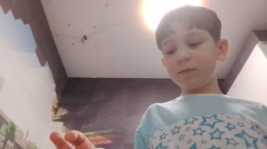 игра в прятки 2