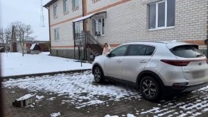 пранки над котами