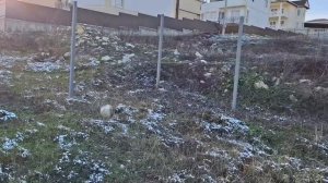 Геленджик.Этажи.микрорайон.Тонкий.Мыс.об.11747228