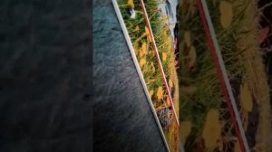 Всем добрый день