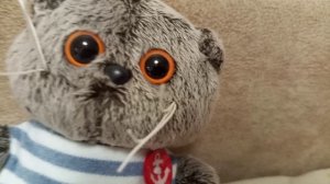 у нас новый котик 😻😻 появился