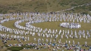 Паневритмия -  19.08.2022г.