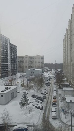 Очередной сиреноголовый с длинной шеей