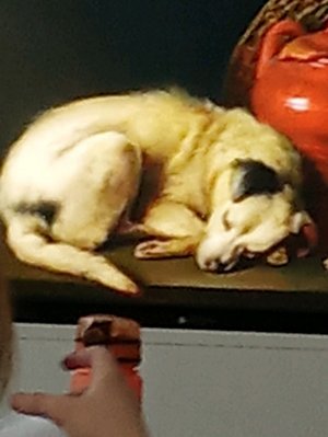 Мы получившей уроки