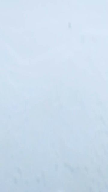 20.02.26. #доброеутро смотреть онлайн