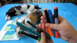 🎨 Рисуем на скорость: 3 маркера, 3 рисунка, море красок! 🖍️