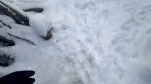 Влог Из СЕРБИИ