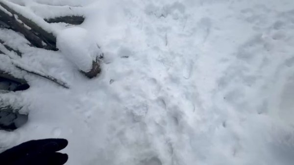 Влог Из СЕРБИИ