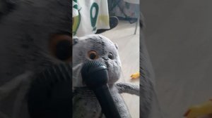 караоке басиков 😂😂😂ХХАХХАХАХАХ(хотите 2 часть?....)