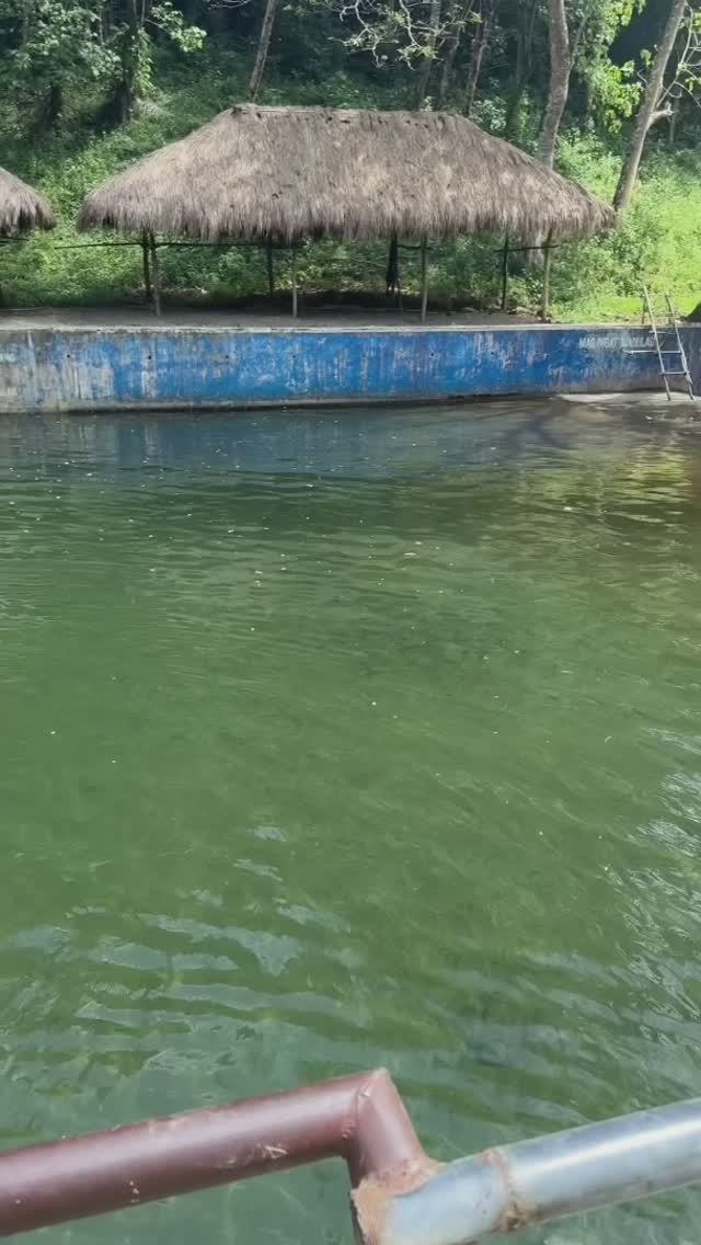 Необычное место для посещения